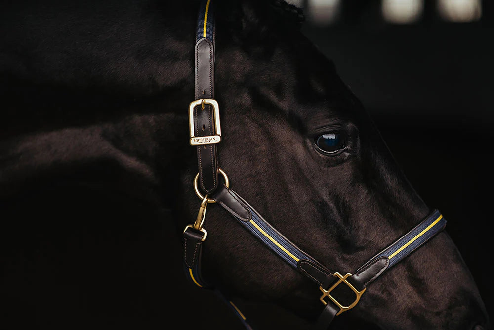 Equestrian Stockholm Halster & Halsterketting Sweden Nation